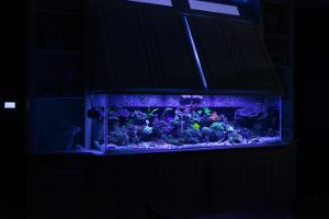 FTS July 10, 2014 - Just T5's