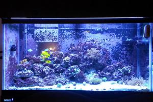 90G Mixed Reef Thumbnail