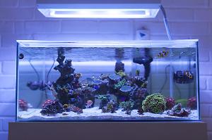 FTS August 24, 2014