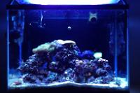 Tank update 9/15/14