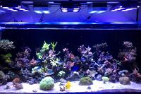 FTS September 16, 2014