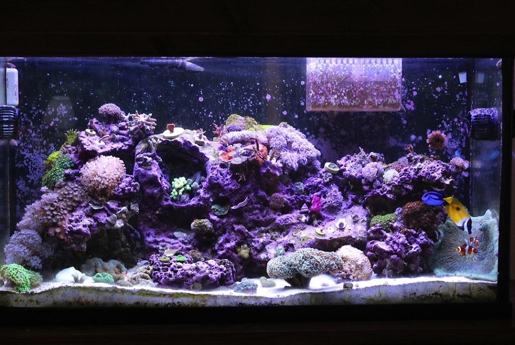 FTS January 19, 2013