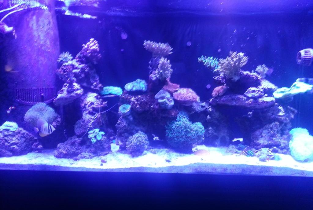 FTS December 7, 2014